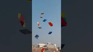 #kite #patanglover #kiteflying #love #garba #makarsankranti #foryou #youtubeshorts #comedy #funny