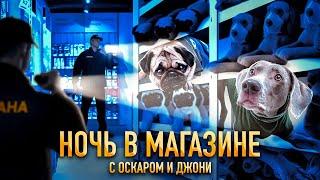 НОЧЬ В МАГАЗИНЕ С ОСКАРОМ И ДЖОНИ 