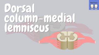 Dorsal Column-Medial Lemniscus pathway