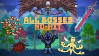 Terraria Qwerty Mod All Bosses (No-Hit)