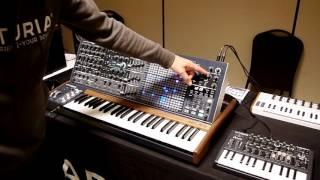 Arturia MatrixBrute Synthesizer Hands-On Demo