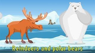 Wild Animals: The Song - Educational Videos in English | Little Smart Planet