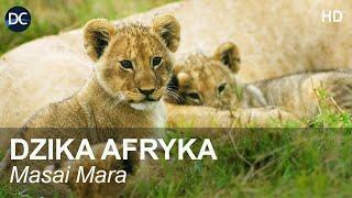 Dzika Afryka - MASAI MARA | Film przyrodniczy | Film dokumentalny | Dzika natura | Dzikie zwierzęta