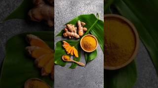 Grow ur own turmeric#turmericplant #homegardening #nature