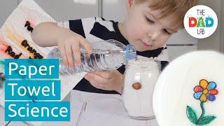 5 Amazing Paper Towel Experiments to Do at Home | Kids Science