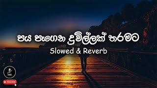  හිතවතුන් මෙන් (පය පෑගෙන දූවිල්ලක් තරමට) #Hitawathun_Men | Slowed & Reverb | TSMusic