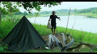 CAMPING BERBURU PREDATOR DI SAAT HUJAN BADAI DAPAT BANYAK...