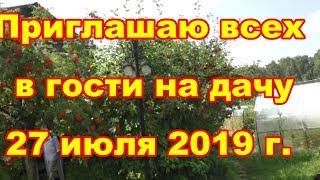 Прогуляемся по участку,посмотрим яблоню  сад,заглянем в теплицы