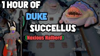 1 Hour of Duke (Noxious Halberd) | OSRS Duke Sucellus Examples