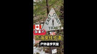 【加拿大徒步天堂】纽芬兰东海线步道   远离城市喧嚣和无谓社交，融入大自然   East Coast Trail is like heaven for trail runners