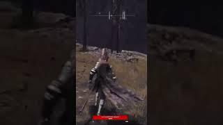 Жиган китон