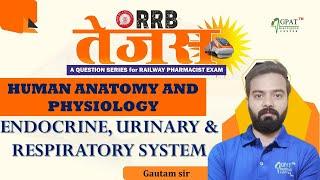 ENDOCRINE, URINARY & RESPIRATORY SYSTEM | RRB TEJAS-RAILWAY PHARMACIST | HAP #railwaypharmacist #rrb