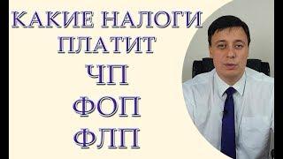 Какие налоги платит ЧП, ФОП, ФЛП (консультация юриста)