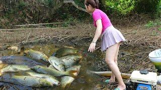 Fishing - Using pumps, pumping water outside the natural lake, Harvesting a lot of big fish.