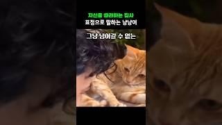 표정으로 속마음 말하는 냥냥이