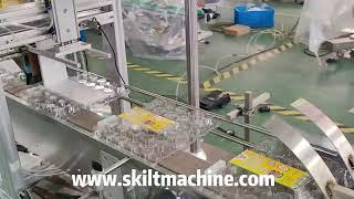 SKILT Auto Egg box egg tray labeling machine labeler with feeder and stacker