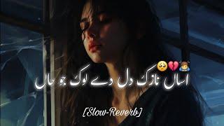 Asaan Nazuk Dil Dy Lok Jo Haan | Saraiki Song | Slow Reverb