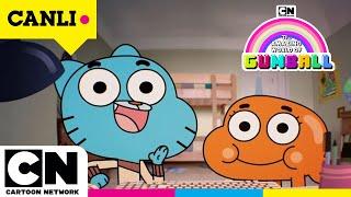 CANLI GUMBALL | 2. Sezon Tüm Bölümler | @cartoonnetworkturkiye