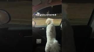 야식은 맥도날드 즹  #미국 #미네소타