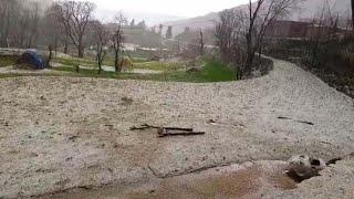 Crops Damaged Due To Hailstorm in Budhal