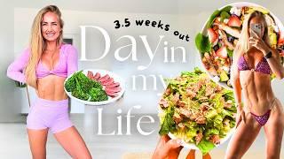 My LOWEST Weigh-In Yet  Bikini Prep Diet, Training Hacks & Viral Content in LA