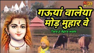 GAUAN WALEYA ||  गऊयां वालेया || Tara ji Apra