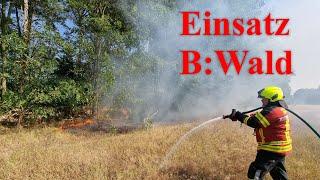 [E] Entstehungsbrand - 150 m² Waldboden in Brand