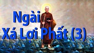 Giải đáp Phật pháp, Cuộc Đời Ngài Xá Lợi Phất phần 3 ( gồm 3 phần )