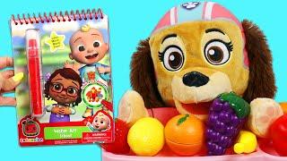 Paw Patrol Liberty Colors Cocomelon Water Art School Book!