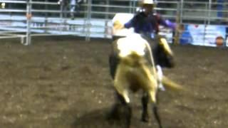 jeff bernier bullfighting, expo cite de quebec 2012