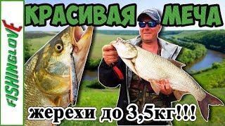 КРАСИВАЯ МЕЧА