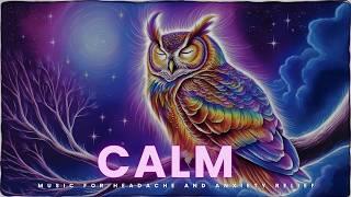  **Find Calm Amidst Chaos: Music for Headache and Anxiety Relief** 