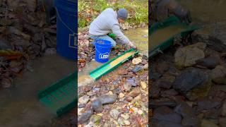 Rich Flour Gold Deposit- Sluicing For Gold