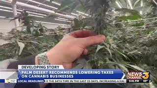 City of Palm Desert recommends lowering taxes on cannabis businesses