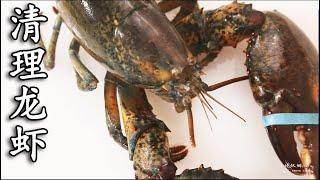 How to clean up a lobster| How to open the pincers of a lobster? Why two pincers different sizes?