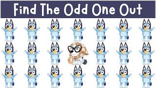 Find The Odd One Out: Bluey & Friends