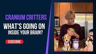 Cranium Critters™: Teaching Kids about Emotion Regulation and their Brain