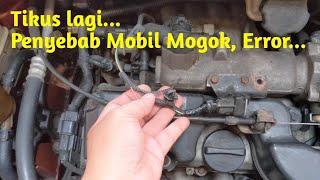 Gara Gara Tikus Jadi Mogok nih, Mobil...