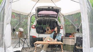 Relaxing in Spring Rain️. SOLO Camping sleep in the car / Rain sound ASMR