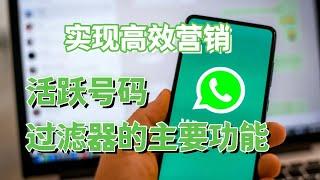 whatsapp活跃号码过滤器的主要功能||筛选介绍️#WhatsApp引流推广#WhatsApp精准营销