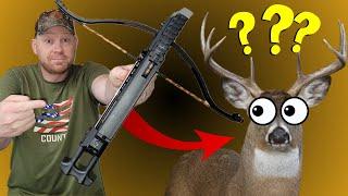 Take a Deer With THIS???