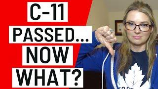 Bill C-11 Passed... Now what? And what about freedom of expression?