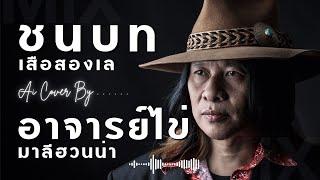 ชนบท Cover - อาจารย์ไข่ มาลีฮวนน่า(เพลงใต้เพื่อชีวิต | ต้นฉบับ เสือสองเล)