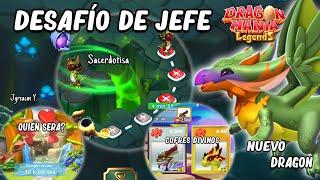 Desafío de Jefe con Dragon Sacerdotisa - Evento Divino Crono Capitulo 2 de 4 | Dragon Mania Legends