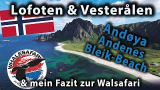 Walsafari Andenes & Bleik Beach Camping I Lofoten & Vesterålen Rundreise Teil 1 I