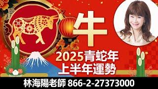 林海陽獨家!! 看過來! 2025青蛇年 牛生肖 上半年運勢大解析! _20250103