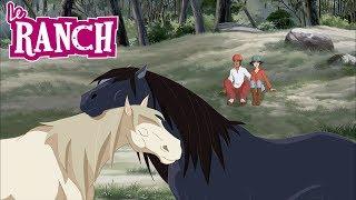 Le Ranch | La Copine de Mistral ! ️ | ZeeToons - Dessins Animés pour Enfants