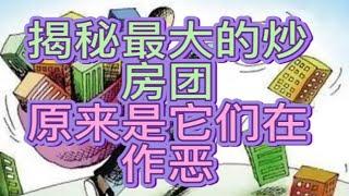 揭秘最大的炒房巨头，手握130万套房子，原来是它们在作恶！