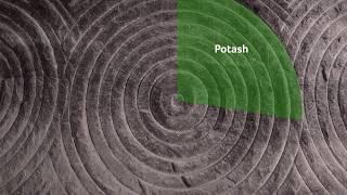 Nutrien: What Is Potash?