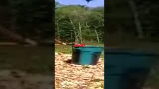 LAND CLEAN UP #shorts #acres  #land #landclearing #exercise #workout #clean